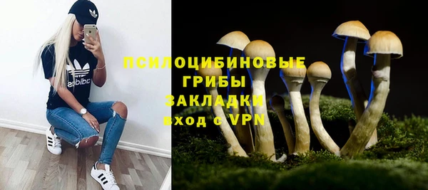 ГАЛЛЮЦИНОГЕННЫЕ ГРИБЫ Валдай