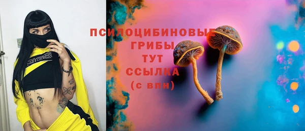 хмурый Нягань