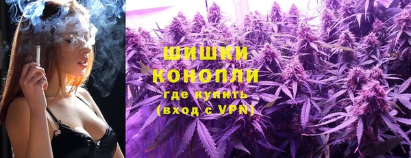 ешки Новозыбков