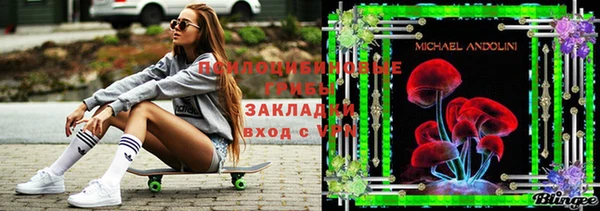 ешки Новозыбков