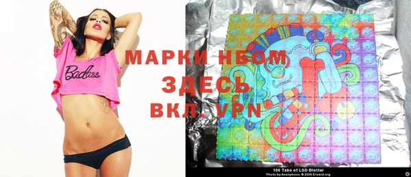 ешки Новозыбков