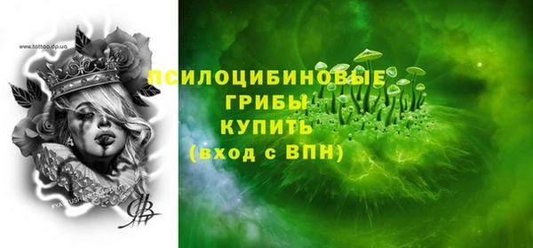 ПСИЛОЦИБИНОВЫЕ ГРИБЫ Нязепетровск