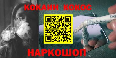 стаф Дубна