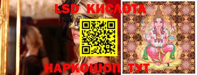стаф Дубна