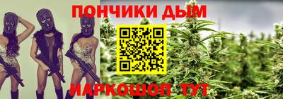 стаф Дубна