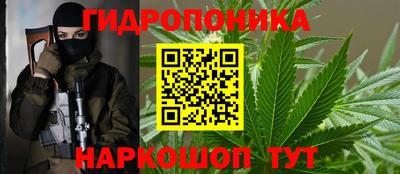 стаф Дубна