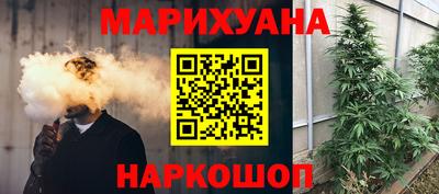 стаф Дубна
