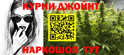 стаф Дубна