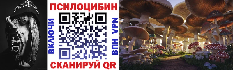 OMG маркетплейс  Лениногорск  Галлюциногенные грибы MAGIC MUSHROOMS 