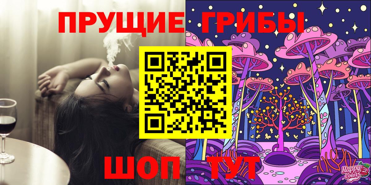 Галлюциногенные грибы Psilocybine cubensis  Лениногорск 