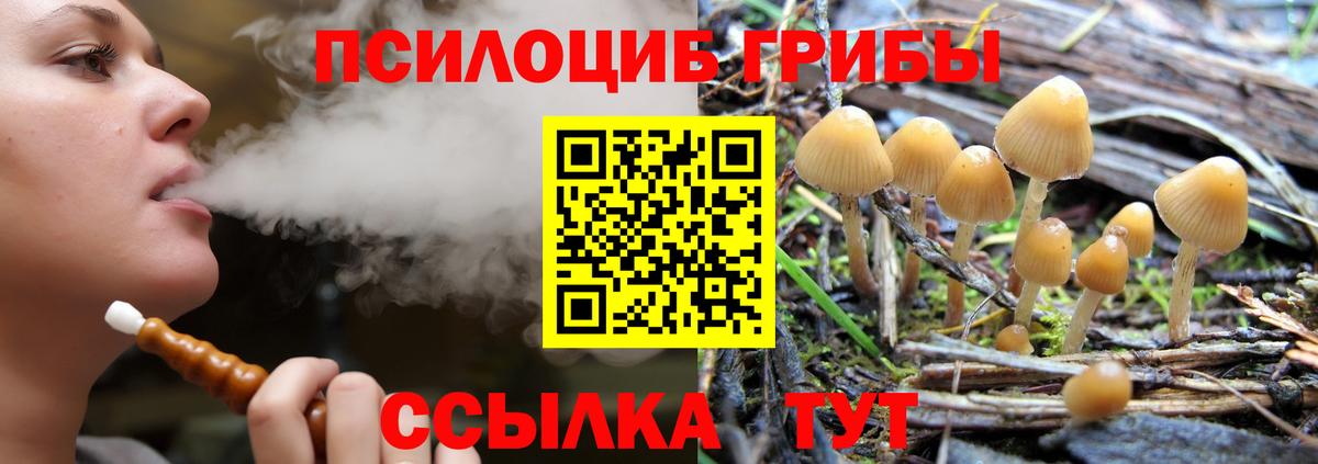 Лениногорск  закладки  Вход с VPN  Галлюциногенные грибы Psilocybe 