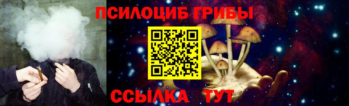 Псилоцибиновые грибы мицелий Лениногорск